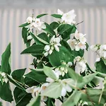 Lundsgaard Gods Kerteminde