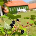Hotel Lundsgaard Gods
