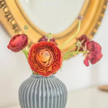 Hotel Lundsgaard Gods